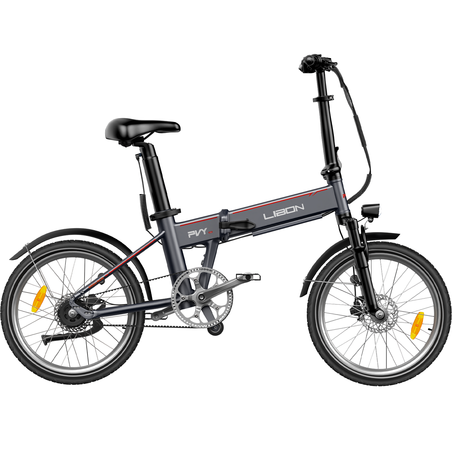 PVY LIBON（副本）